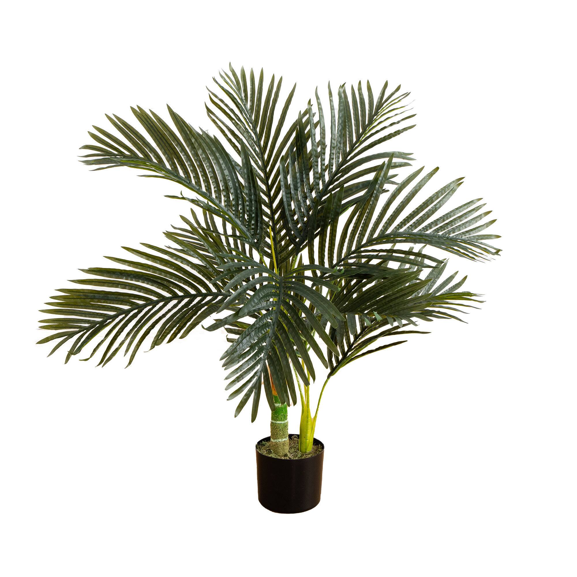 3ft. Potted Golden Cane Palm Tree